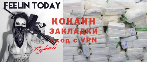 стаф Богданович