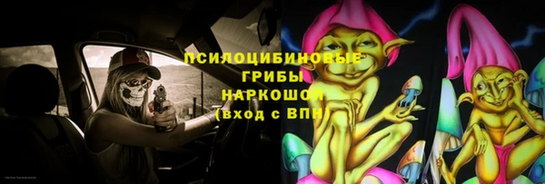 стаф Богданович