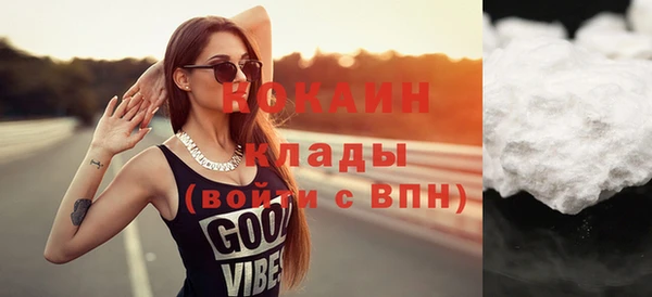 стаф Богданович